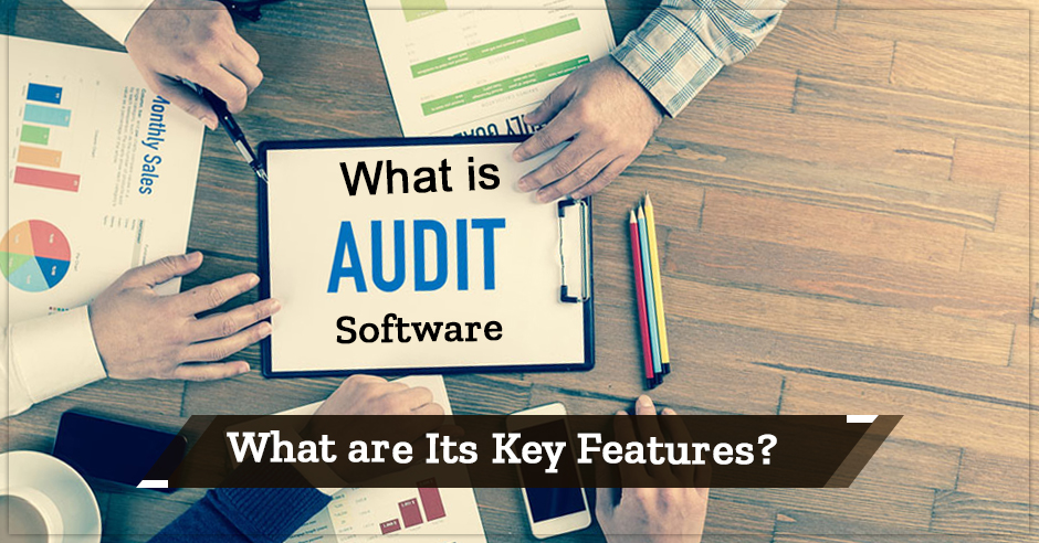 What is Audit Software and What are Its Key Features?